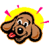 Lucky Dog